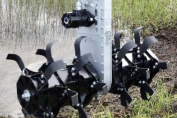 scarification des racines