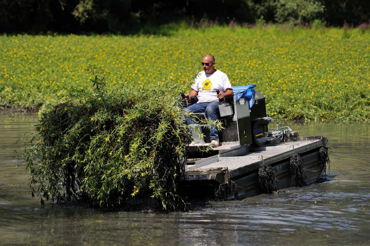 Arrachage mécanique