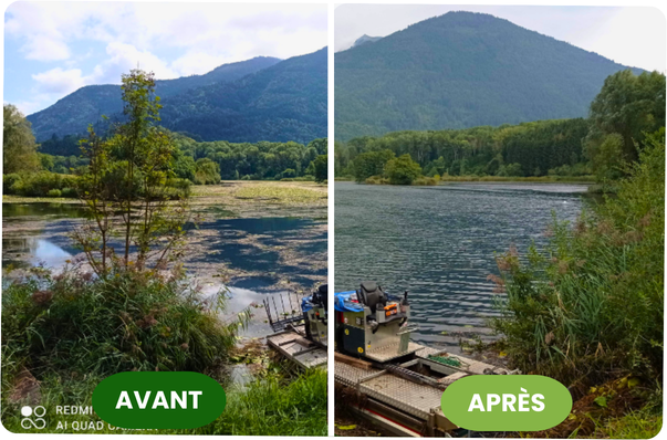 Intervention Sud Faucardage