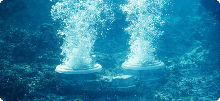 Vente  de systèmes d’aération et bactéries